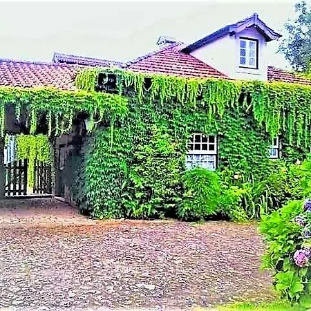 Casa Da Roseira Hotel Ponte de Lima